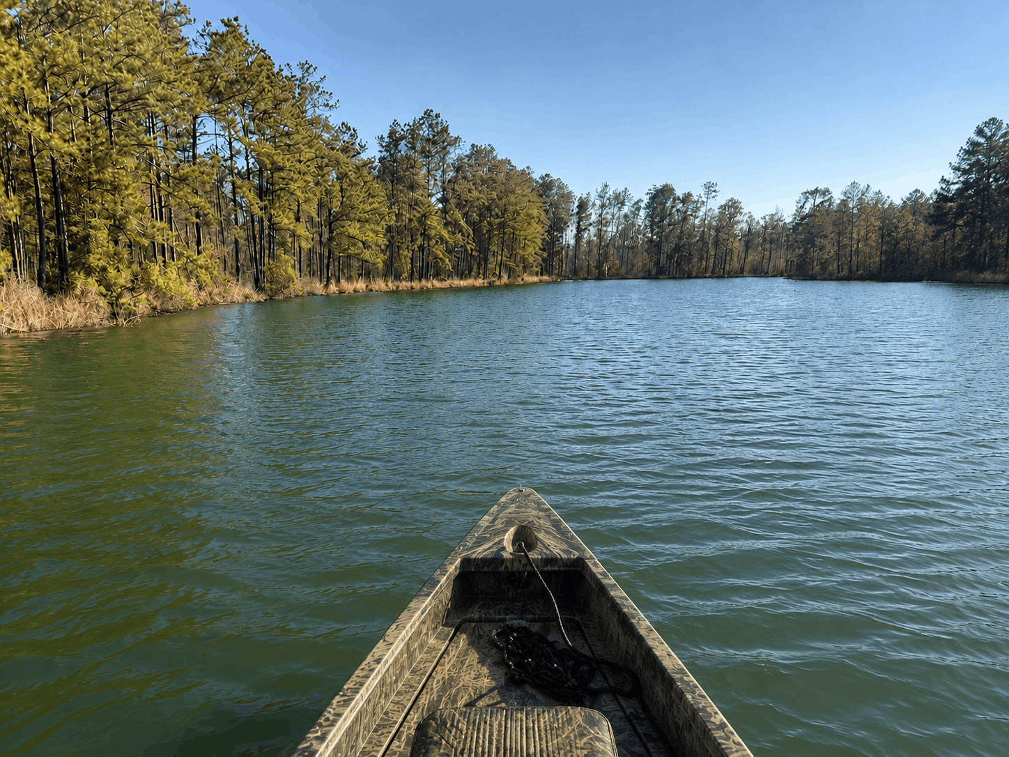 Pirogue